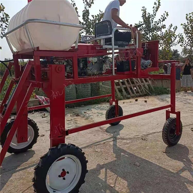 果园杀虫打药机台州仙居县批发种植专用喷药机 