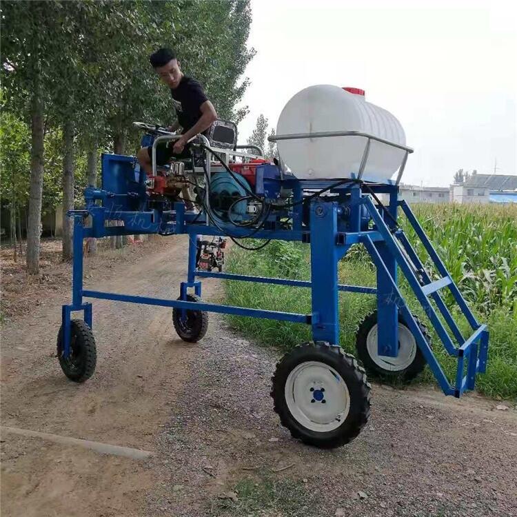 果园杀虫打药机台州仙居县批发种植专用喷药机 