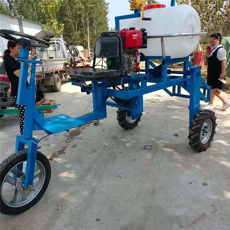 汽油喷药机锦州北镇每周回顾稻田专用拉管喷雾器 